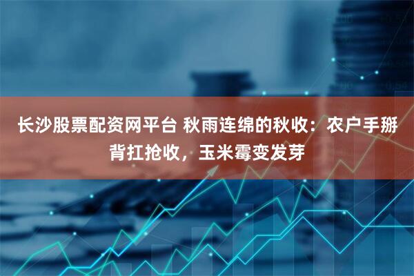 长沙股票配资网平台 秋雨连绵的秋收：农户手掰背扛抢收，玉米霉变发芽