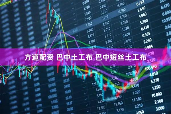 方道配资 巴中土工布 巴中短丝土工布