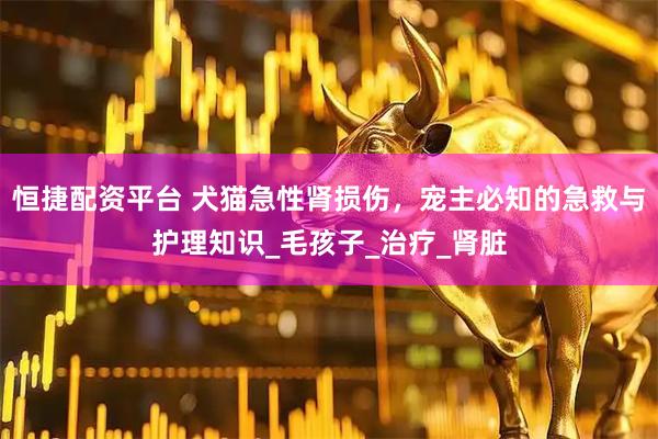 恒捷配资平台 犬猫急性肾损伤，宠主必知的急救与护理知识_毛孩子_治疗_肾脏